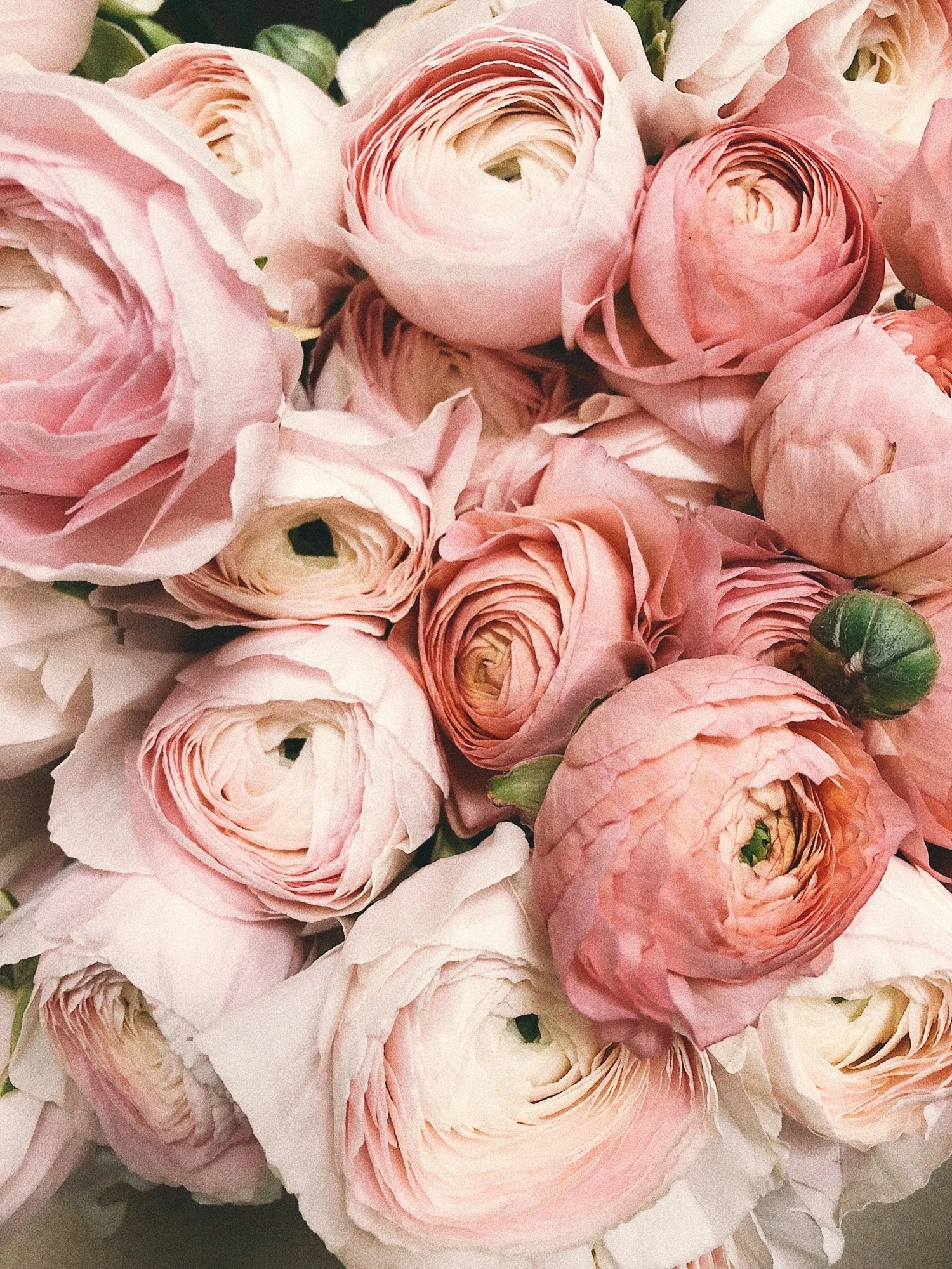 Blush rose bouquet detail